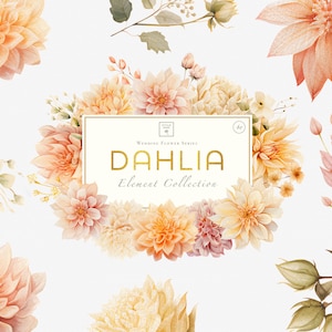 Dahlie Blumen Clipart, Aquarell Blumen PNG Bundle, Hochzeit Digital Download Grafiken, Wildblumenstrauß Bilder, kommerzielle Nutzung Kunst