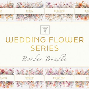 Floral Border Clipart Bundle, Wedding Clipart Border, Flower Border Digital Art, Flower Digital Frames, Flower Clipart, Floral Digital Art