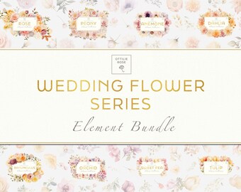 Floral Clipart Bundle, Wedding Clipart Border, Floral Border Digital Art, Flower Digital Frames, Flower Clipart, Floral Digital Art