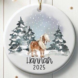 Personalized Christmas Pony Ornament Gift for Horse Lovers Winter Pony Ornament