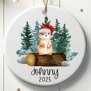 Personalized Christmas Otter Ornament Gift for Christmas Woodland Animal Otter Gift