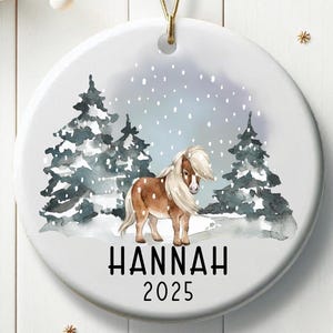 Personalized Christmas Pony Ornament Gift for Horse Lovers Winter Pony Ornament