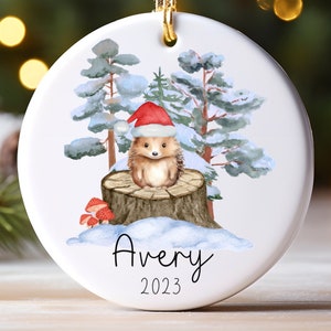 Personalized Hedgehog Ornament Gift For First Christmas Gift
