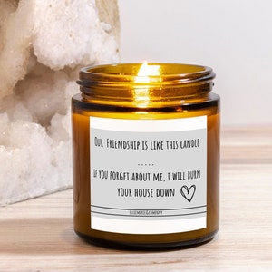 Onze vriendschap is als deze kaars, als je me vergeet, zal ik je huis afbranden, beste vriend cadeau, cadeau voor beste vriend, kaars voor beste vriend