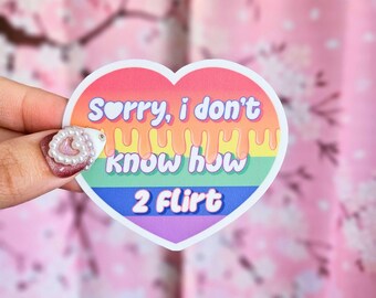Pride Heart Sticker: Sorry I Don't Know How To Flirt, UV Resistant Vinyl