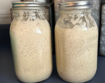 Dehydrated Sourdough Starter