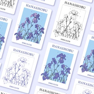 CARTES POSTALES A6 " Hanashobu ", représentation d’IRIS japonaises || à l'unité ou en lot de 4 || Postcards