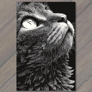 May include: A high-contrast black and white graphic illustration of a cat's head in profile. The artwork features intricate line work detailing the fur texture, long whiskers, and a large, bright eye looking upward against a solid black background.