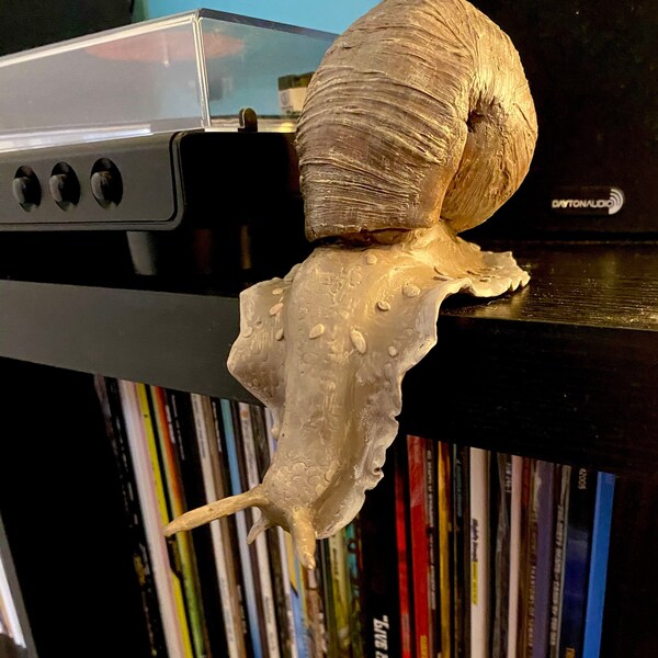 Polymer clay Shelf Snail - Cottagecore Snail Friend - Fairy Garden Decor - Cute Bookshelf Decor