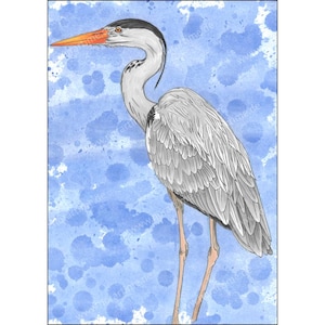 Peut inclure: Illustration à l'aquarelle d'un héron. L'oiseau a des plumes grises, un long cou et un long bec orange. Le fond est bleu clair avec des éclaboussures d'aquarelle bleu foncé.