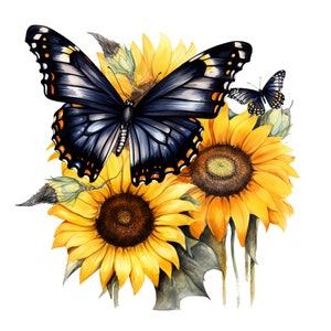 May include: A black and blue butterfly with orange accents sits on a bouquet of yellow sunflowers. The sunflowers have dark brown centers and are in full bloom.