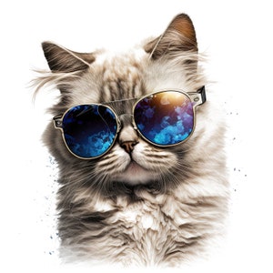 Könnte beinhalten: Eine flauschige weiße Katze mit blauen, verspiegelten Sonnenbrillen. Die Katze hat einen ernsten Gesichtsausdruck und schaut direkt in die Kamera.