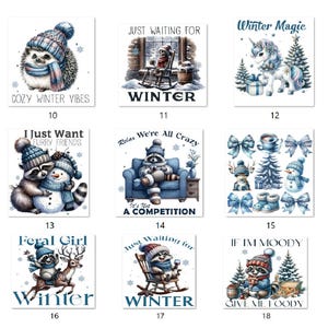 Iron-on image; iron-on motif, winter, raccoon, sayings