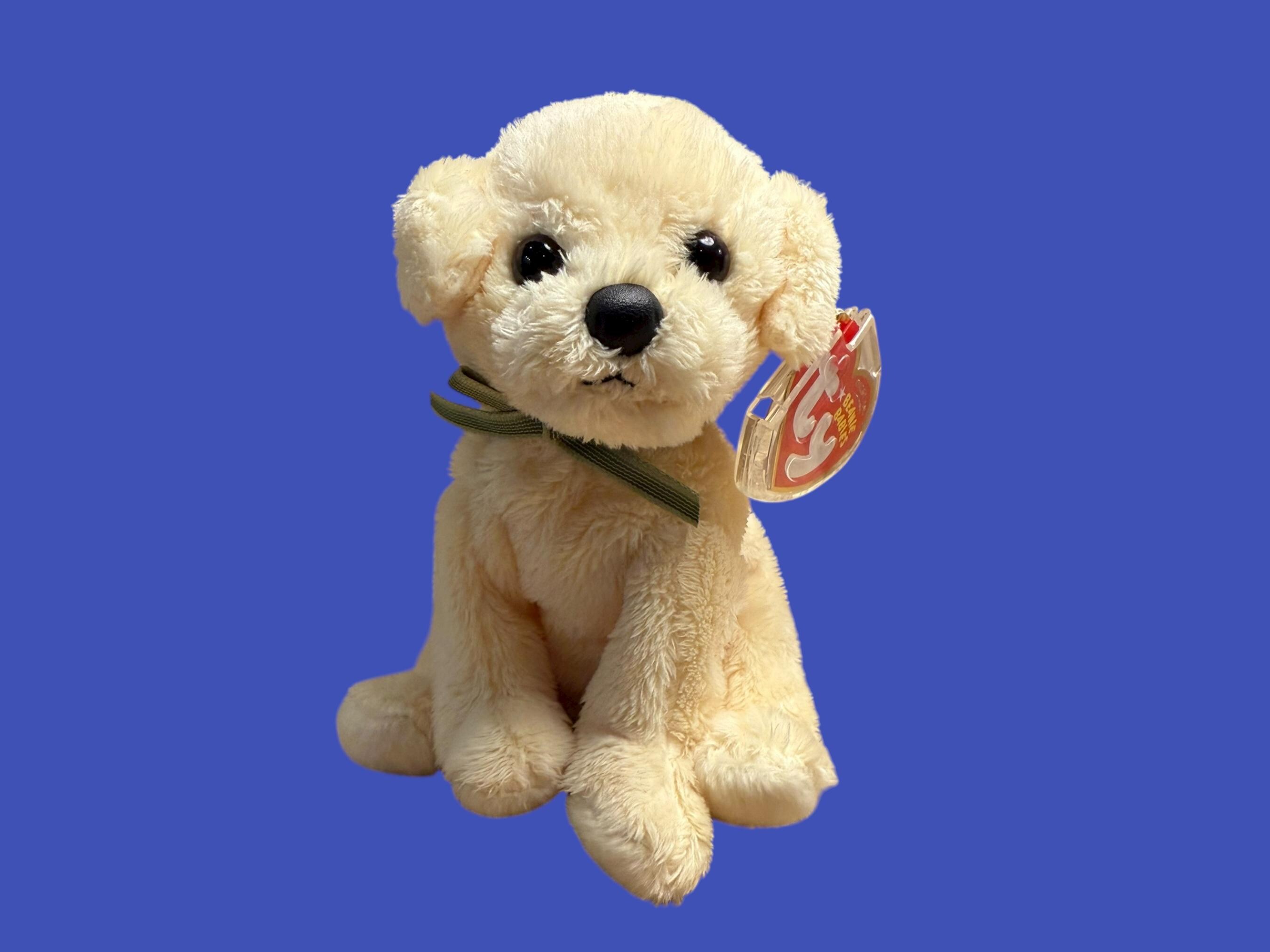 TY ビーニーベイビーズ - バウンズ ゴールデンレトリバーの子犬 (6