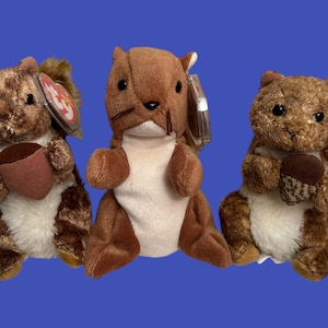 May include: Three brown and white plush squirrel beanie babies. The squirrels are holding small brown acorns. The beanie babies are in good condition.