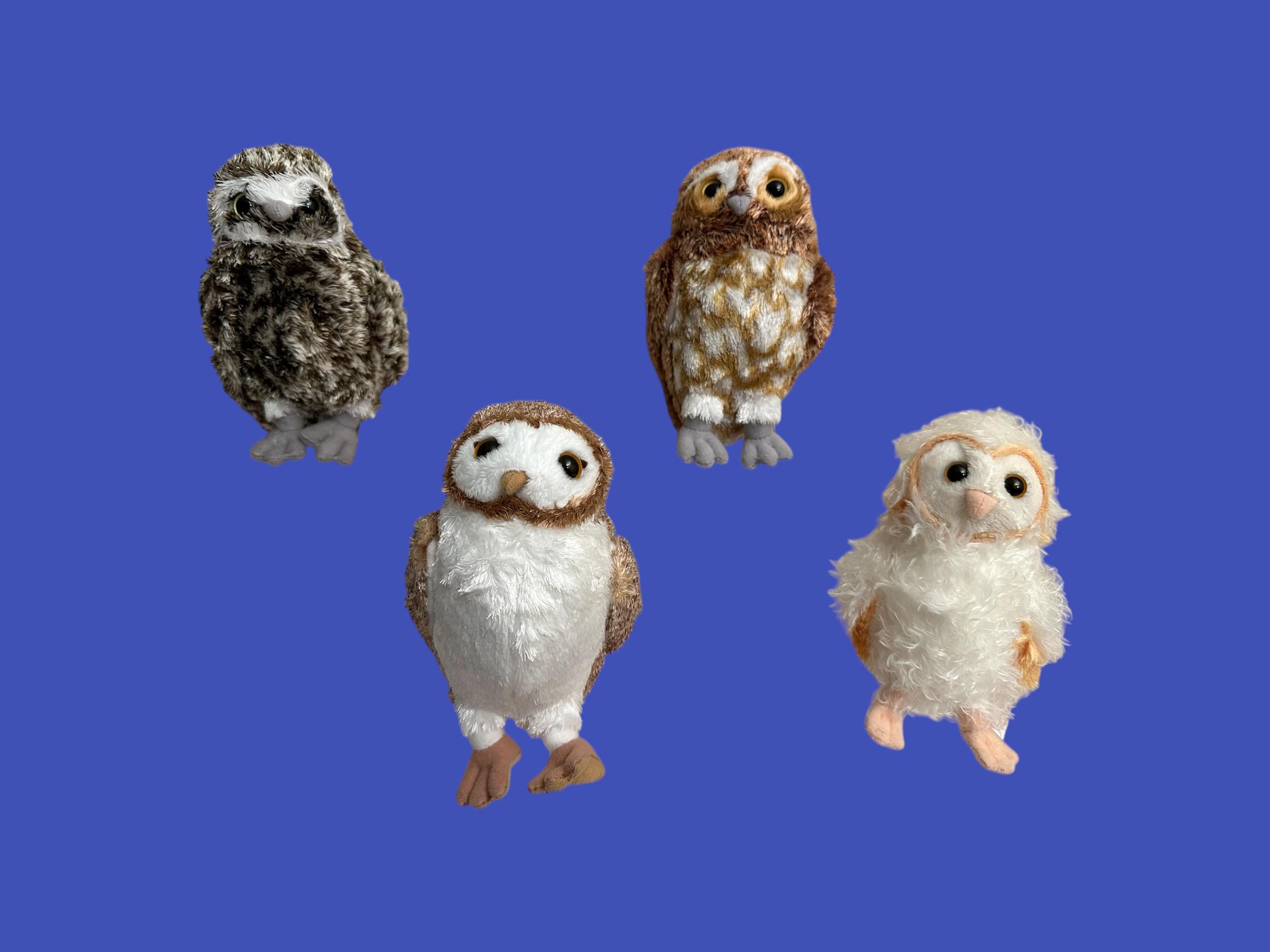 TY Beanie Babies - Owls of Ga'Hoole - Legend of the Guardians  (6'').