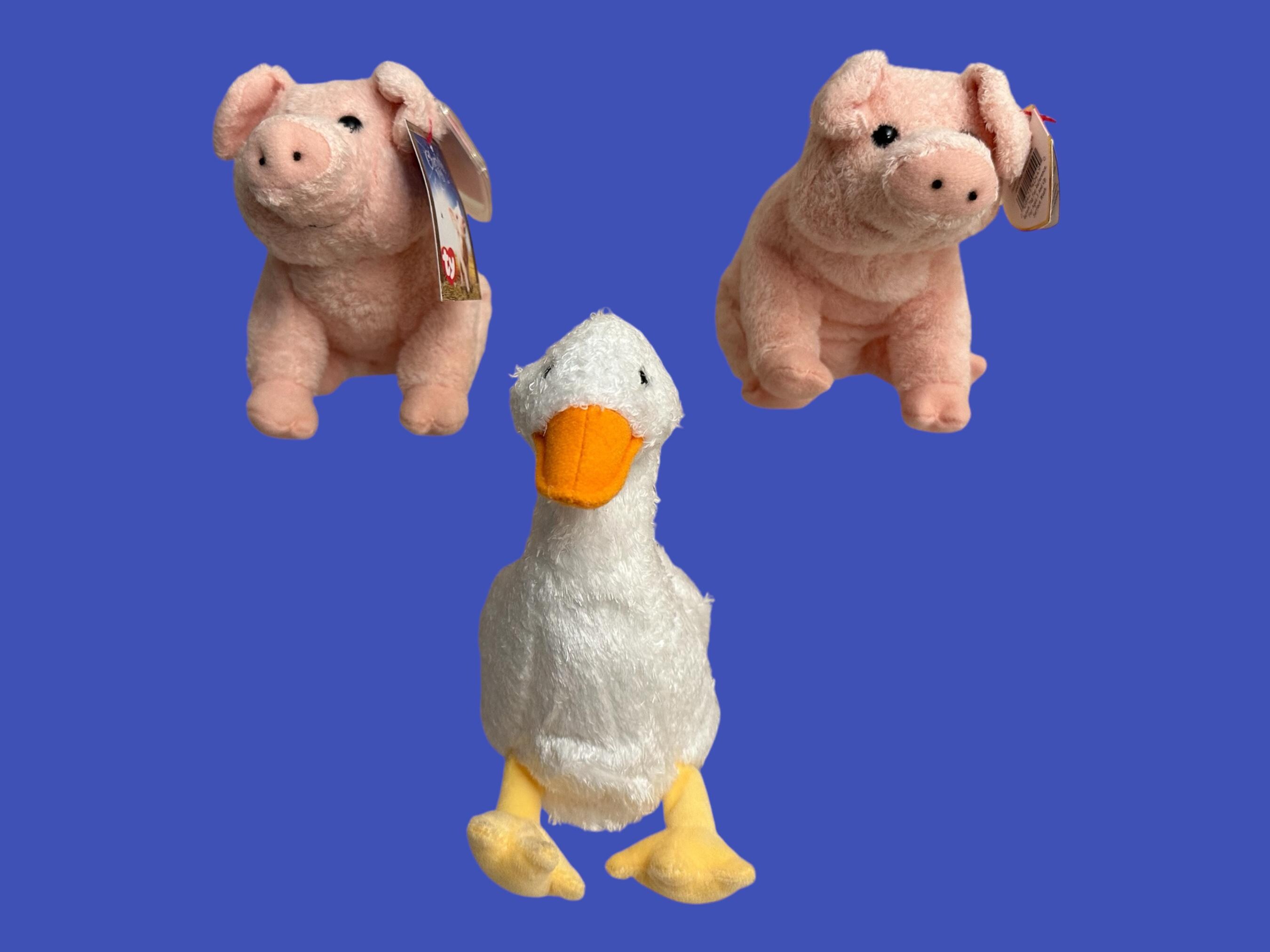 Charlottes Web Toys Australia