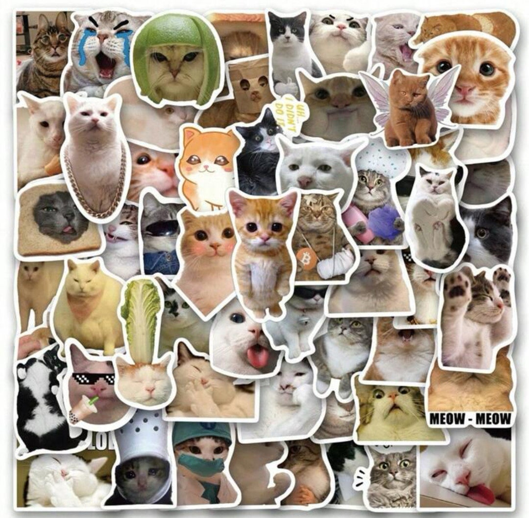 Cute Funny Cat Stickers Vinyl Waterproof Stickers Scrapbook,journaling ...