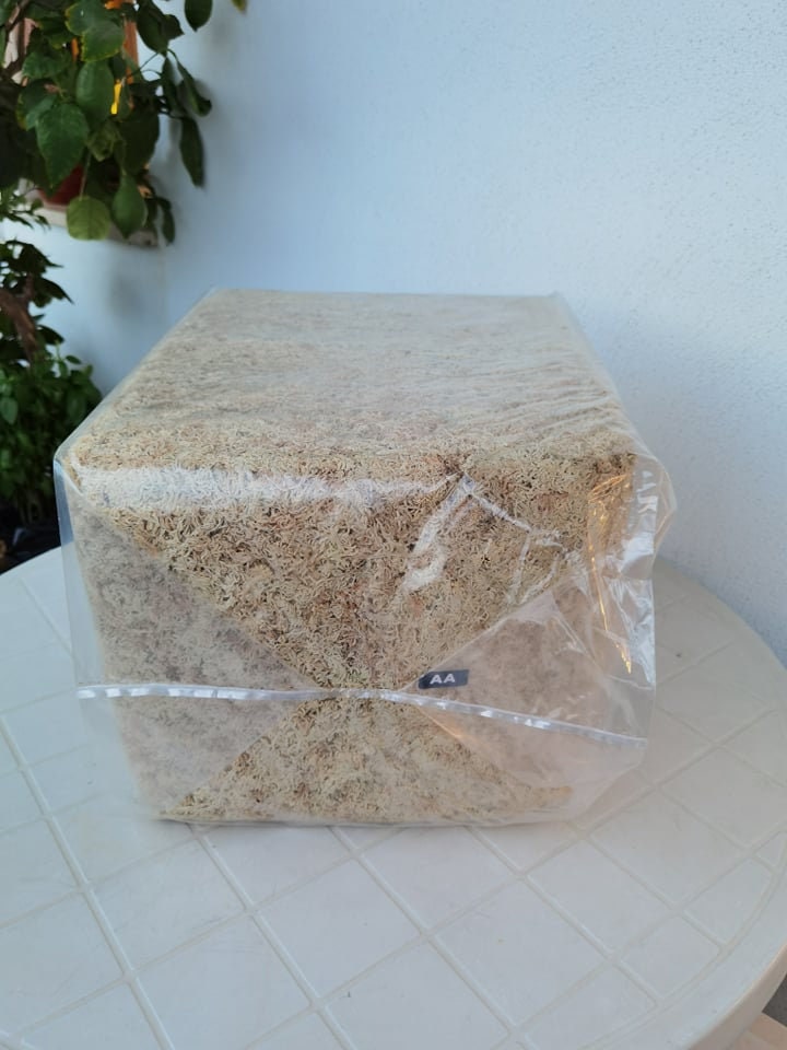 Buy Sphagnum Moss Bulk Brick 5lb. Online in India 