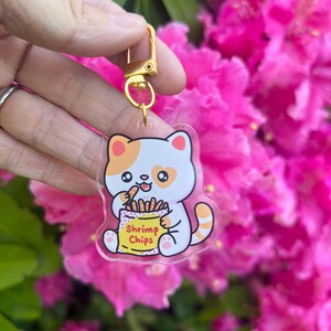 Puede incluir: Un llavero acrílico transparente con un gato de dibujos animados con marcas naranjas y blancas, sosteniendo una bolsa de patatas fritas de camarones. El llavero tiene un cierre y un anillo dorados. El fondo es una vibrante exhibición de flores rosas.