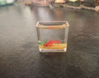 Doll House Fish Tank