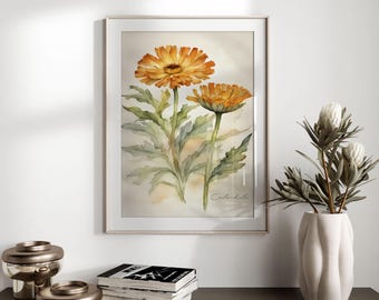 Calendula Watercolor Print: Cottagecore Herbal Flower Art (Digital Download JPEG)