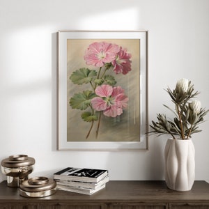 Vintage pink geranium flower print Geranium floral printable wall art Floral farmhouse décor Flower painting Rustic wall décor Antique art