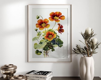 Watercolor Nasturtium Print Botanical Illustration Orange Flower Wall Art Vintage Floral Decor Digital Download