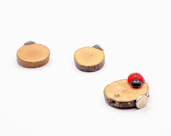 3 Wooden Stepping Stones with Mini Ladybug - Decor - Jumping Spider - Magnetic