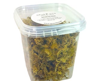 Sphagnum Moss - Ready made mix for One Enclosure - Jumping Spiders - Terraniums