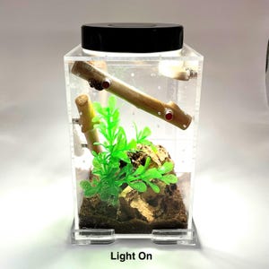 Led Rechargeable Top Light for Enclosure - for Jumping Spider