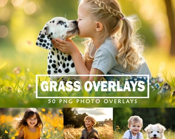 Grass Photo Overlays: Green, Summer, Spring (PNG Digital Download)