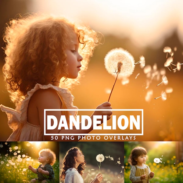 Spring Photoshop Overlays Dandelion Seeds Overlay Dandelion Overlays Blowing Dandelion Flowers Realistic Photoshop Overlay Blow Dandelion