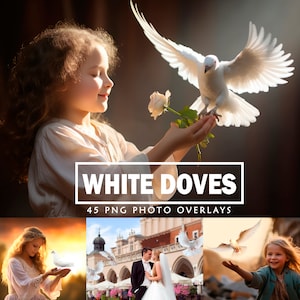 Puede incluir: Un conjunto de 45 superposiciones de fotos PNG de palomas blancas. Las imágenes presentan palomas blancas en varias poses, incluyendo volando, posadas y aterrizando. Las superposiciones son perfectas para agregar un toque de elegancia y paz a tus fotos.