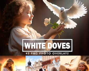 Dove overlays Pigeon overlays Wedding Doves Overlay Peace Birds Layers Photoshop overlays Composite White Dove PNG  Overlay Clipart DOWNLOAD
