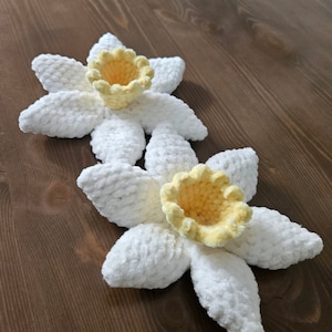 Crochet Daffodil Pattern (PDF)