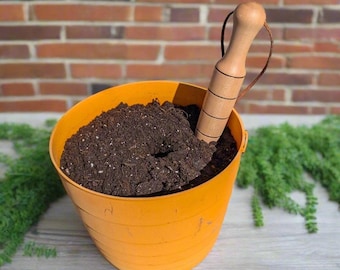 Handcrafted Maple Garden Dibber | Durable Planting Tool for Gardening