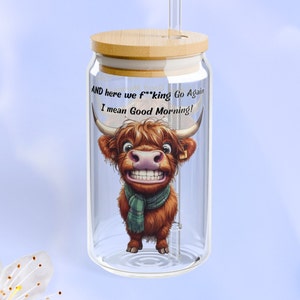 Funny Highland Cow Glass Can Sipper: Adult Humor Coffee Cup With Lid & Straw