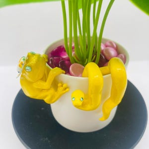 May include: A white cylindrical planter containing a green plant and pink decorative stones. A bright yellow frog wearing a small patterned hat and a bright yellow snake are attached to the exterior rim, both featuring small blue rhinestone eyes.