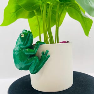 May include: A bright green frog figurine with a glossy finish and a single visible eye is attached to the side of a plain, cylindrical white plant pot. The pot contains a green leafy plant with multiple stems extending upwards from the center.
