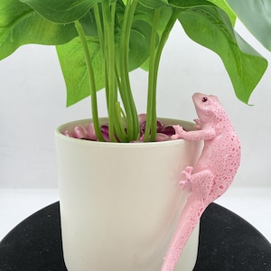 Meet “Miss Pinkie Speckleberry!” The Adorable Pink Hanging Gecko for Potted Plants - Pot Hugger