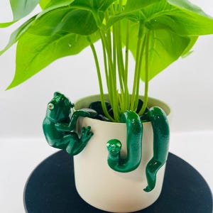 May include: A light beige cylindrical plant pot containing a green leafy plant. A glossy dark green frog figure clings to the left side of the pot, while a glossy dark green snake figure is wrapped around the right side of the pot.