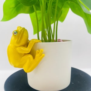 May include: A bright yellow frog figurine with a glossy finish and a single iridescent eye, designed to hook onto the rim of a cylindrical white planter. The planter contains a green leafy plant with multiple stems extending upwards.