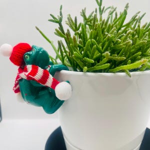 May include: A glossy green ceramic frog figurine hanging on the rim of a white plant pot. The frog wears a red knit hat with a white pom-pom and a matching red and white striped knit scarf with white pom-poms at the ends of the scarf.