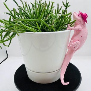 Meet “Pinkie Cowgirl!” The Adorable Large Pink Hanging Gecko for Potted Plants - Pot Hugger