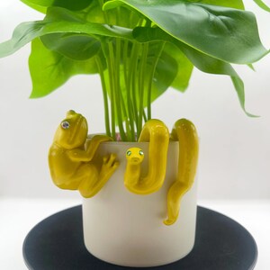 Meet Our “Sunshine Collection” - Adorable Yellow Small Frog & Snake Plant Buddy - Pot Hugger Set