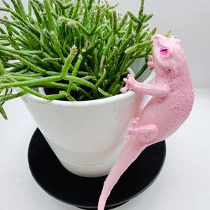 Meet “Miss Pinkie Speckleberry!” The Adorable Large Pink Hanging Gecko for Potted Plants - Pot Hugger