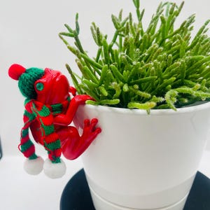 May include: A bright red frog figurine with a green and red knit scarf and a matching green knit hat with a red pom-pom. The frog is clinging to the side of a white ceramic plant pot containing a green succulent plant with thin, branching stems.