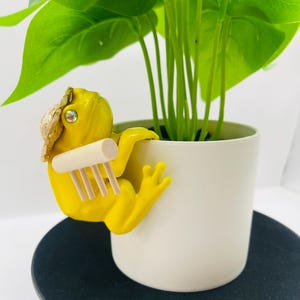 May include: A bright yellow frog figurine wearing a small straw hat and holding a light-colored wooden rake, designed to hang onto the rim of a light-colored plant pot containing a green leafy plant with multiple stems and broad leaves.