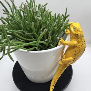 Meet “Mr. Bananapants!” The Adorable Large Yellow Hanging Gecko for Potted Plants - Pot Hugger